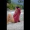 Pooja sharan bf sexy video | पूजा शरण का बीएफ सेक्सी वीडियो